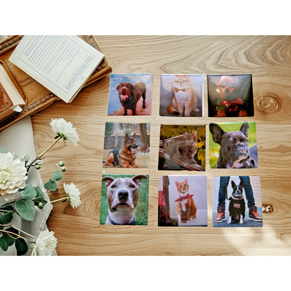 Custom Photo Magnets-2" Square ~Set of 3 Gifts for Friends, Family & Business - Picture 1 of 4